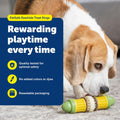 PetSafe Busy Buddy Dog Treat Rings Variety Pack, Medium, Size B, 24 Count
