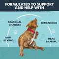 Mighty Paw Dog Allergy Chews, Itch Relief & Immune Support, 120ct