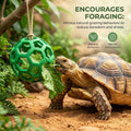 3-Piece Turtle Shell Brush & Feeder Ball Set, Turtle Tank Care Accessories