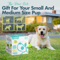 Automatic Dog Ball Launcher - Dog Ball Fetch Machine, Ball Thrower for Dogs, for Small to Medium Sized Dogs, Interactive