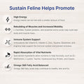 EMERAID Sustain Feline Recovery Food for Cats 100 g