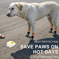 BEAUTYZOO Anti Slip Dog Socks, Dog Shoes for Hot Pavement & Hardwood Floors