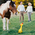 Hungdao 1 Pcs Horse Toys Latex Squeaky Squeeze Chicken Squeak Turkey Balls