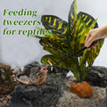 Reptile Feeding Tongs, Stainless Steel Lizard Feeding Tongs, Aquarium Straight Feeding Tweezers for Reptiles with Rubber