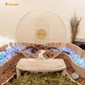 Niteangel Silent Hamster Exercise Wheel - Dual-Bearing Quiet Spinning Acrylic Hamster Running Wheel for Hamsters, Gerbil