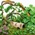 LIKZINWA Reptile Terrarium Decor Kit with Jungle Plants & Vines