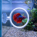 Betta Fish Toys Set - Floating Betta Mirror with Ball & 2 Training Ring Hoop, Interactive Enrichment Toys for Fish Tank 