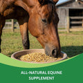 HEIRO Healthy Equine Nutritional Supplement for Horses, Herbal Blend with Magnesium and Vitamin E, Daily Metabolic Suppo