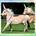 Shyyween 8 Pcs Unicorn Horse Kit, Horn Wreath, 6 Mane Feather Clips