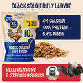 Hatortempt 10lbs Black Soldier Fly Larvae for Chickens - 114X More Calcium Than Mealworms for Chickens - High Protein Worms - Feed Treats for Laying Hens, Quails and Ducks