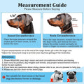 BARKLESS Dog Head Collar, No Pull Training Collar with Soft Padding