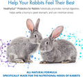 HealthyGut Probiotics for Rabbits Dietary Supplement, All-Natural Digestive System Formula (120 Servings)