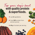 The Honest Kitchen Protein Plus Dehydrated Dog Food Topper, Human Grade High Protein Beef Meal Topper with Superfoods, G