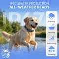 No-Shock Humane 2-in-1 Smart Bark Collar + Remote: Beep & 2X Vibration| Auto Bark Training| Manual Trigger Button|15lbs+