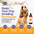 Dog Shampoo and Conditioner Energizing Grapefruit & Spearmint 16 Oz Dog Shampoo Itchy Skin Relief Aromatherapy Dog Shamp