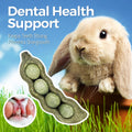 TEEWY Guinea Pig Toys, Prevent Teeth Overgrowth, Natural Vegetables and Timothy Grass, Hamster Chew Toys, Guinea Pig Che