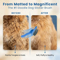 Slicker Brush for Dogs, Dog Grooming Supplies - Best Doodle & Poodle Brush for Haired Dogs - Goldendoodle Pin Detangler for Dematting (Large)