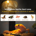 Briignite Reptile Heat Lamp G9 Halogen Heat Bulb Dome Reptile Light Fixture