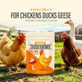 Naturals Armor Chicken Dewormer Powder - Natural Herbal Formula with Chili,Garlic,Oregano, Chili Mix Wormer for Flock Po