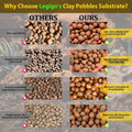 Legigo 10 LB Organic Expanded Clay Balls Terrarium Substrate for Reptiles