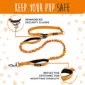 Mighty Paw Hands Free Dog Leash | Bungee Waist Leash for Dog Walking. Pet Running Hands Free Tether for Large, Medium & 