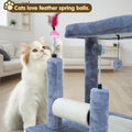 ROYPET Multifunctional Cat Scratching Posts for Indoor Kittens,Cat Scratching Posts for Play and Activity,Scratching Pos