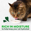 Greenies Feline Smart Purees Healthy Indoor and Skin & Fur Health Lickable Cat Treats, with Real Chicken, with Real Salmon, 0.49 oz. Tubes, 40 Count