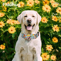 Reflective Martingale Collar for Dogs Nylon Training Collar with No Buckle Cute Floral No Pull Dog Collar for Medium Dog