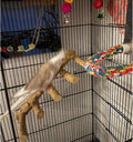 Bolagar Bird Parrot Ladder Perch for Cage, Nature Wooden Bird Bridge Exercise Stands Parrot Climbing Chewing Toys for Small Animal