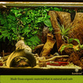 SunGrow Hermit Crab Coconut Cave, Spacious Hide Interior Habitat Comfort Zone, Ascension Coco Shelter Tank Decor Utility