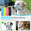 Weesiber No-Pull Dog Head Collar, Adjustable Dog Muzzle Leash Padded Head Halter Training Nose Leash, Easy Control for W