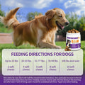 40 in 1 Dog Vitamins and Supplements 200Ct Dog Multivitamin Chewable, Immunity Support Multivitamin Vitamins with Turkey Tail Mushroom, Skin & Coat, Mobility, Gut & Heart Health, Hip & Joint Support