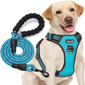 tobeDRI No Pull Dog Harness Adjustable Reflective Oxford Easy Control Medium Large Dog Harness with A Free Heavy Duty 5ft Dog Leash