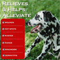Show Out Skin & Wounds Spray for Dogs — Helps Control Dog Mange & Itchy Skin | Natural Relief for Hot Spots, Ringworm & 