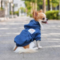 LOPHIPETS Dog Cotton Hoodies Sweatshirts for Small Dogs Chihuahua Puppy Clothes Cold Weather Coat-Navy/S