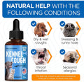 Kennel Cough Medicine for Dogs Helps with Dry, Wet, Barking Cough – Cat and Dog Cough Medicine Soothes and Calms Irritat