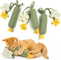 Cucumber 3pcs