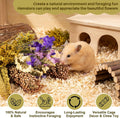 Sukh Natural Hamster Bedding Sprays - Foraging Cage Accessories