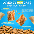 Cat Allergy Relief Chews, 500 Crunchy & Krill Core with Omega-3 Probiotic for Cats, Immunity Supports Seasonal Itching Paw Licking & Scratching Itchy Skin & Coat Support for All Breeds Chicken Flavor
