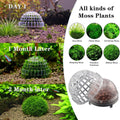 3 PCS Aquarium Moss Ball Holder Professional Aquarium Plant Holder Plastic Moss Ball Fish Tank Plant Holder with Filter 