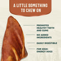 Hank & Roy All-Natural Pig Ears for Dogs + Dog Bully Sticks Bundle, 6 Pig Ears and 6 Bully Sticks, Long Lasting, Antibio