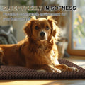 Dog Bed Crate Mat, Soft Durable Washable Anti-Slip Kennel Pad for Dogs & Cats, Reversible (Dark Brown, L(35"*23"*1.5"))