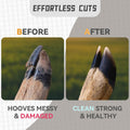 Goat Hoof Trimmers & Farrier Shears, Hoof Trimmers For Goats and Sheep