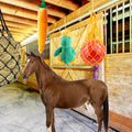 Horse Toys for Horses 5 PCS Set, Goats Enrichment Toys, Including Hay Net, Hay Ball, Toy Ball, Squeaky Duck, Plush Carro