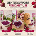 Olewo Original Red Beets for Dogs – Internal Support Dog Food Topper for Skin Sensitivity and Overall Balance, Prebiotic Fiber and Whole Food Nutrients, 1 lb