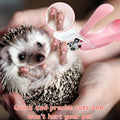 Hedgehog Toe Nail Clippers and Comb Set, 2 Pcs Hedgehog Soft Cleansing Brush and Toenail Clipper with Magnifier, Hedgeho