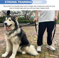 Strong Heavy Duty Dog Leash - 6ft Reflective Nylon Training Leash with Soft Padded Double Handle & Auto Lock Frog Clip - Safety Traffic Control for Large Medium Small Dogs No Pull Walk Black Black,6ft