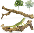 Reptile Branch Decor, Snake Climbing Wood Branches, Terrarium Logs