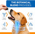 Kennel Cough Medicine for Dogs Helps with Dry, Wet, Barking Cough – Cat and Dog Cough Medicine Soothes and Calms Irritat