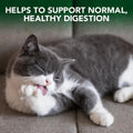 Vet's Best Cat Hairball Relief Chewable Tablets, Relief for Cats, 60 Count